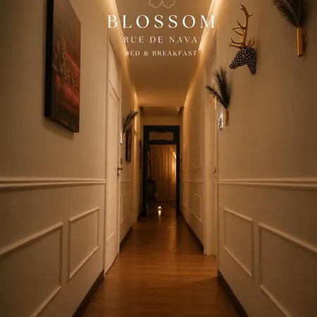 Bed & Breakfast Blossom Rue De Nava