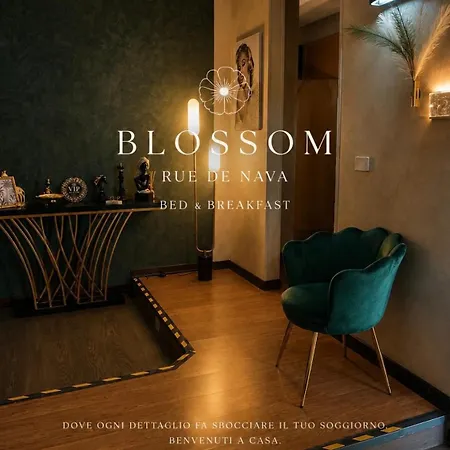 Blossom Rue De Nava * ريجّو دي كالابريا