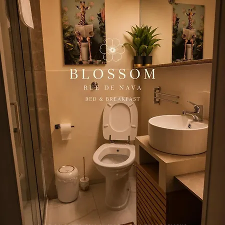 Blossom Rue De Nava فندق مبيت وإفطار