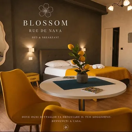 Blossom Rue De Nava *
